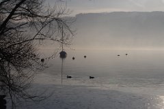 Greifensee 2